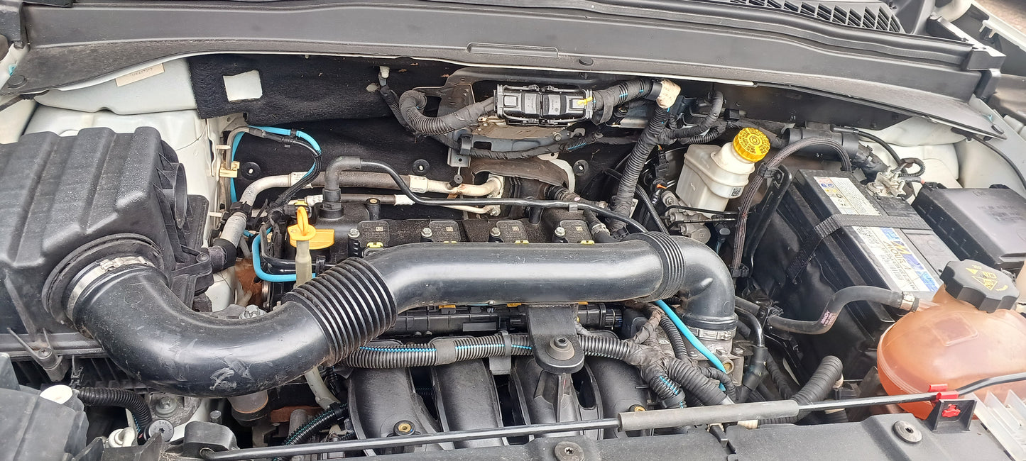 RENEGADE FLEX 2021