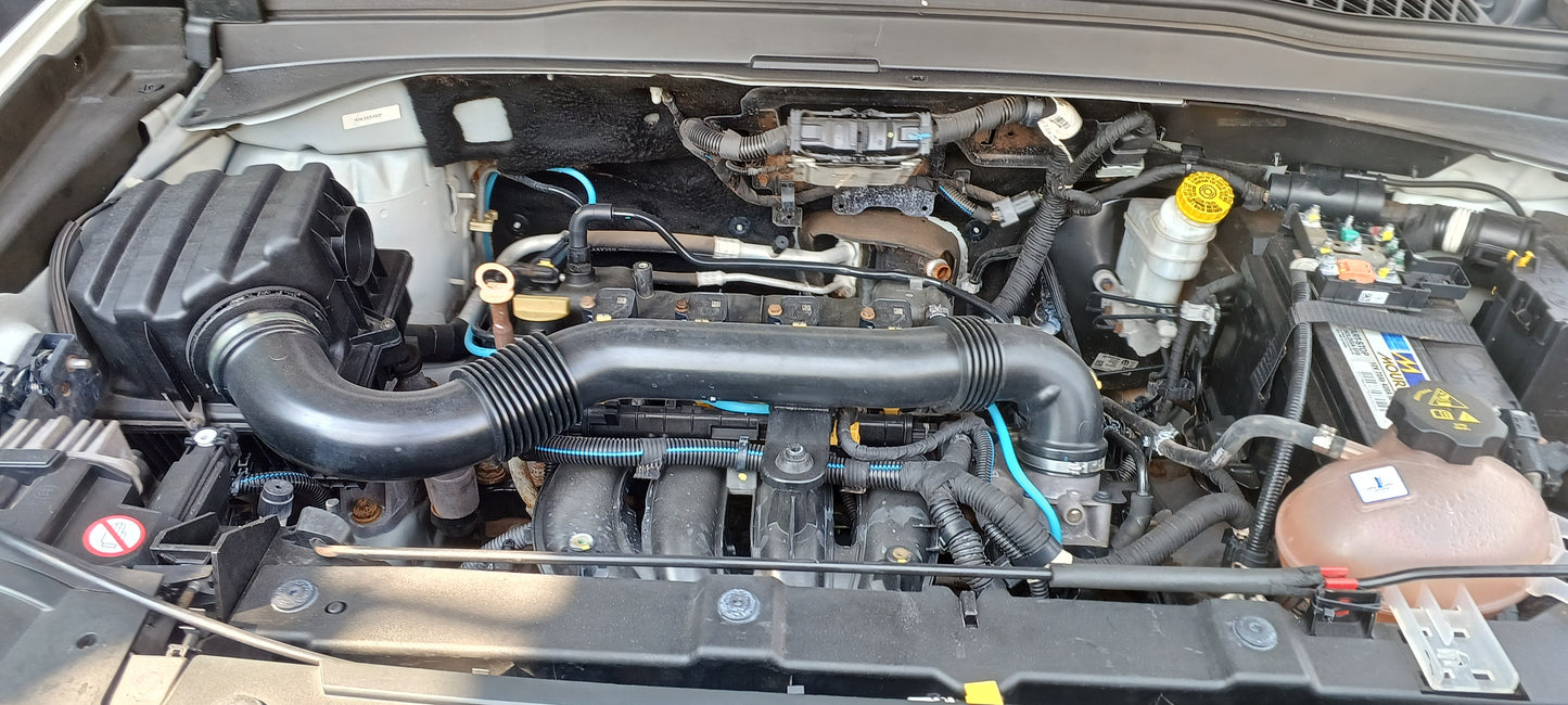 RENEGADE LONGITUDE FLEX 2021